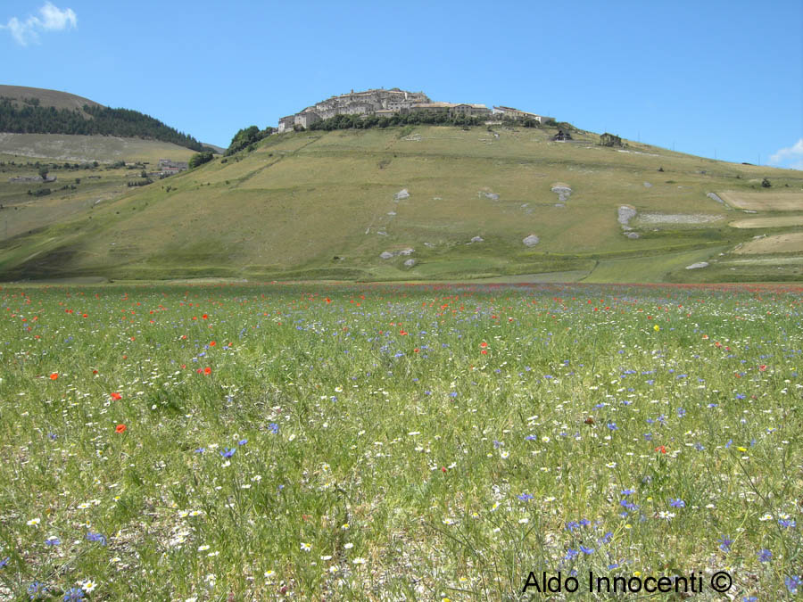 CASTELLUCCIO DI NORCIA 10